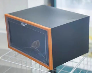 Shoe Storage Box: Modern & Eco - Friendly Organizer - Posedisplay